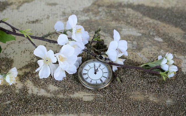 Pocket Watch
