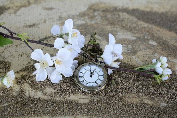 Pocket Watch